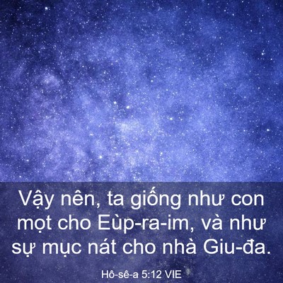 Picture 03 - Hô-sê-a 5:12 VIE - Vậy nên, ta giống như con mọt cho - Bible Verse Picture