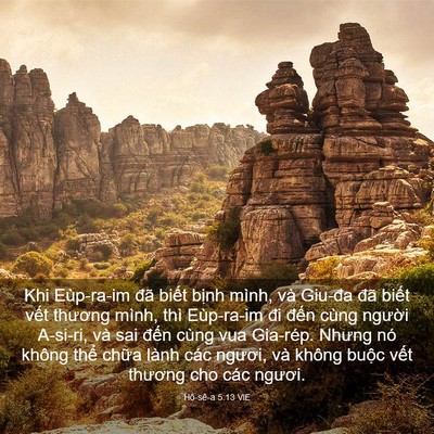 Picture 03 - Hô-sê-a 5:13 VIE - Khi Eùp-ra-im đã biết bịnh mình, và - Bible Verse Picture