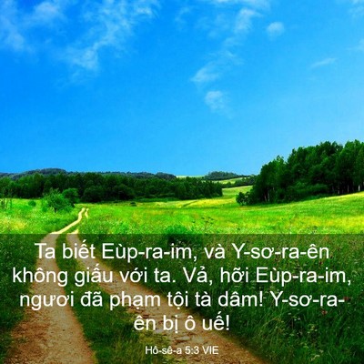Picture 03 - Hô-sê-a 5:3 VIE - Ta biết Eùp-ra-im, và Y-sơ-ra-ên không - Bible Verse Picture