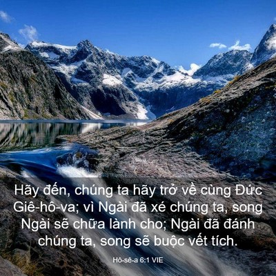 Picture 03 - Hô-sê-a 6:1 VIE - Hãy đến, chúng ta hãy trở về cùng - Bible Verse Picture