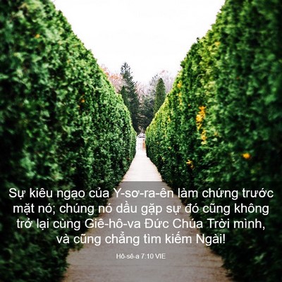Picture 03 - Hô-sê-a 7:10 VIE - Sự kiêu ngạo của Y-sơ-ra-ên làm chứng - Bible Verse Picture