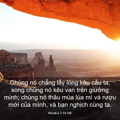 Picture 03 - Hô-sê-a 7:14 VIE - Chúng nó chẳng lấy lòng kêu cầu ta, - Bible Verse Picture