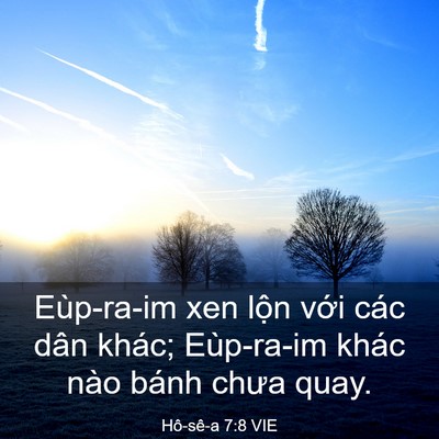 Picture 03 - Hô-sê-a 7:8 VIE - Eùp-ra-im xen lộn với các dân khác; - Bible Verse Picture