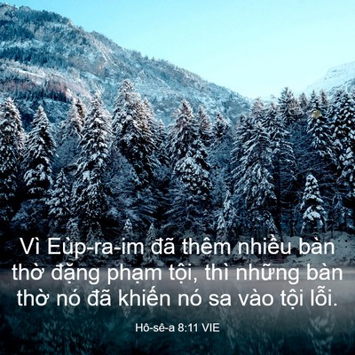 Picture 03 - Hô-sê-a 8:11 VIE - Vì Eùp-ra-im đã thêm nhiều bàn thờ - Bible Verse Picture