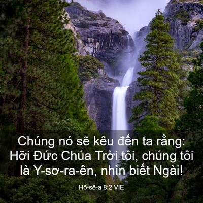 Picture 03 - Hô-sê-a 8:2 VIE - Chúng nó sẽ kêu đến ta rằng: Hỡi - Bible Verse Picture