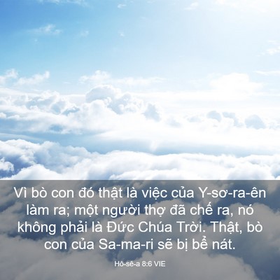 Picture 03 - Hô-sê-a 8:6 VIE - Vì bò con đó thật là việc của - Bible Verse Picture