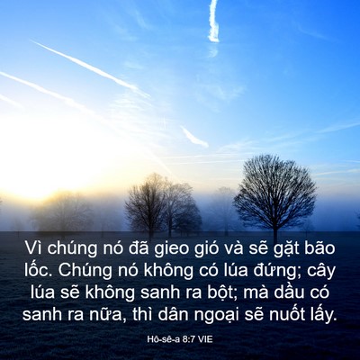 Picture 03 - Hô-sê-a 8:7 VIE - Vì chúng nó đã gieo gió và sẽ gặt bão - Bible Verse Picture