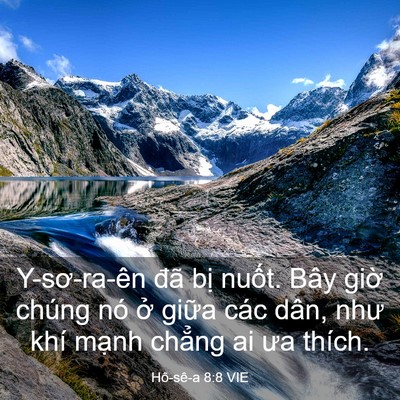 Picture 03 - Hô-sê-a 8:8 VIE - Y-sơ-ra-ên đã bị nuốt. Bây giờ chúng - Bible Verse Picture