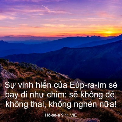 Picture 03 - Hô-sê-a 9:11 VIE - Sự vinh hiển của Eùp-ra-im sẽ bay đi - Bible Verse Picture
