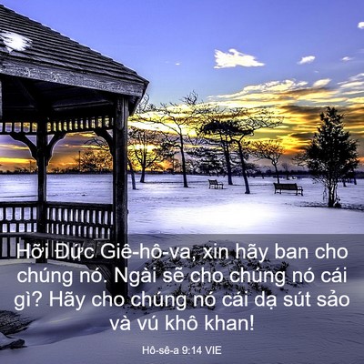 Picture 03 - Hô-sê-a 9:14 VIE - Hỡi Đức Giê-hô-va, xin hãy ban cho chúng - Bible Verse Picture