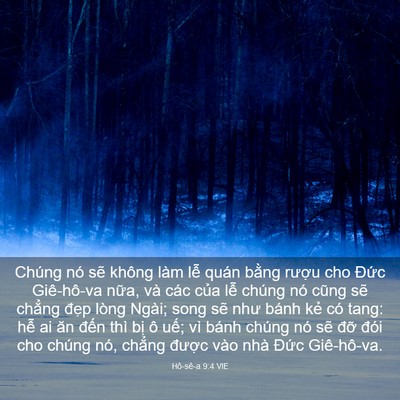 Picture 03 - Hô-sê-a 9:4 VIE - Chúng nó sẽ không làm lễ quán bằng - Bible Verse Picture