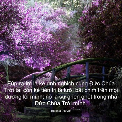 Picture 03 - Hô-sê-a 9:8 VIE - Eùp-ra-im là kẻ rình nghịch cùng Đức - Bible Verse Picture