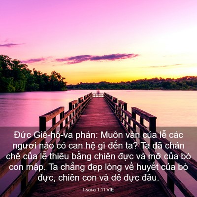 Picture 03 - I-sai-a 1:11 VIE - Đức Giê-hô-va phán: Muôn vàn của lễ - Bible Verse Picture