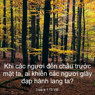 Picture 03 - I-sai-a 1:12 VIE - Khi các ngươi đến chầu trước mặt ta, - Bible Verse Picture