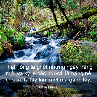 Picture 03 - I-sai-a 1:14 VIE - Thật, lòng ta ghét những ngày trăng mới - Bible Verse Picture