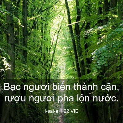 Picture 03 - I-sai-a 1:22 VIE - Bạc ngươi biến thành cặn, rượu - Bible Verse Picture