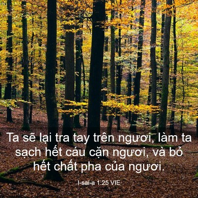 Picture 03 - I-sai-a 1:25 VIE - Ta sẽ lại tra tay trên ngươi, làm ta - Bible Verse Picture