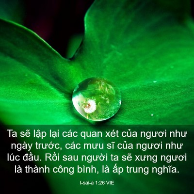 Picture 03 - I-sai-a 1:26 VIE - Ta sẽ lập lại các quan xét của ngươi - Bible Verse Picture