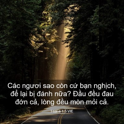 Picture 03 - I-sai-a 1:5 VIE - Các ngươi sao còn cứ bạn nghịch, để - Bible Verse Picture