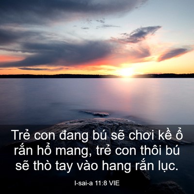 Picture 03 - I-sai-a 11:8 VIE - Trẻ con đang bú sẽ chơi kề ổ rắn - Bible Verse Picture