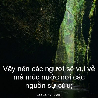 Picture 03 - I-sai-a 12:3 VIE - Vậy nên các ngươi sẽ vui vẻ mà múc - Bible Verse Picture