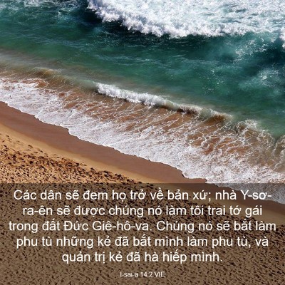 Picture 03 - I-sai-a 14:2 VIE - Các dân sẽ đem họ trở về bản xứ; - Bible Verse Picture