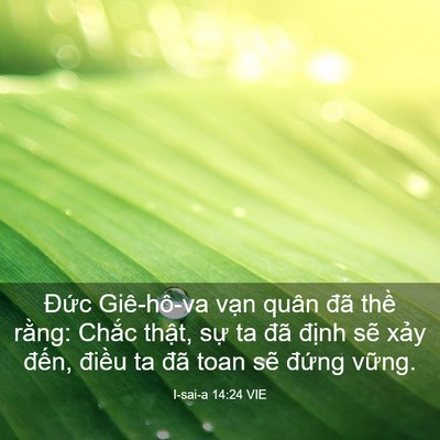 Picture 03 - I-sai-a 14:24 VIE - Đức Giê-hô-va vạn quân đã thề rằng: - Bible Verse Picture