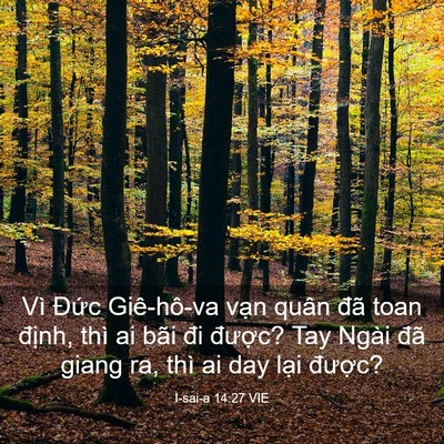 Picture 03 - I-sai-a 14:27 VIE - Vì Đức Giê-hô-va vạn quân đã toan - Bible Verse Picture