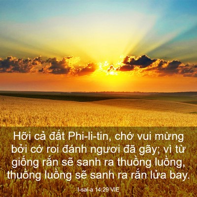 Picture 03 - I-sai-a 14:29 VIE - Hỡi cả đất Phi-li-tin, chớ vui mừng - Bible Verse Picture