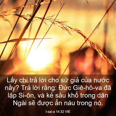 Picture 03 - I-sai-a 14:32 VIE - Lấy chi trả lời cho sứ giả của - Bible Verse Picture