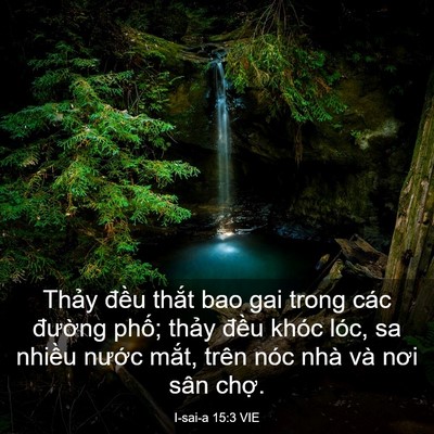 Picture 03 - I-sai-a 15:3 VIE - Thảy đều thắt bao gai trong các đường - Bible Verse Picture