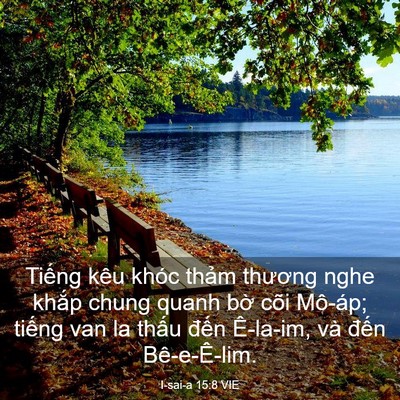 Picture 03 - I-sai-a 15:8 VIE - Tiếng kêu khóc thảm thương nghe khắp - Bible Verse Picture