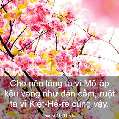 Picture 03 - I-sai-a 16:11 VIE - Cho nên lòng ta vì Mô-áp kêu vang như - Bible Verse Picture