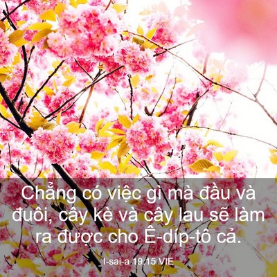 Picture 03 - I-sai-a 19:15 VIE - Chẳng có việc gì mà đầu và đuôi, - Bible Verse Picture