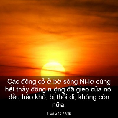 Picture 03 - I-sai-a 19:7 VIE - Các đồng cỏ ở bờ sông Ni-lơ cùng - Bible Verse Picture