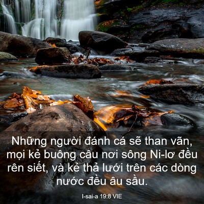 Picture 03 - I-sai-a 19:8 VIE - Những người đánh cá sẽ than vãn, mọi - Bible Verse Picture