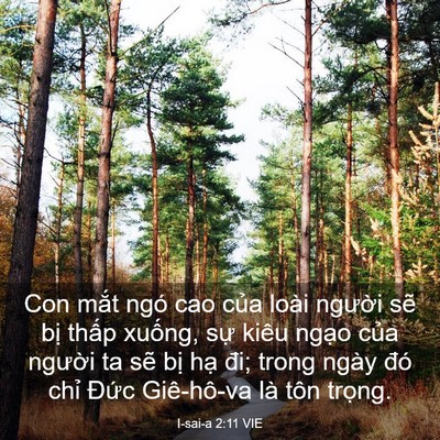 Picture 03 - I-sai-a 2:11 VIE - Con mắt ngó cao của loài người sẽ bị - Bible Verse Picture