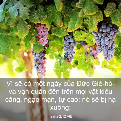 Picture 03 - I-sai-a 2:12 VIE - Vì sẽ có một ngày của Đức Giê-hô-va - Bible Verse Picture