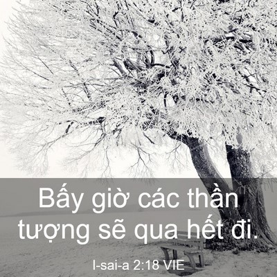 Picture 03 - I-sai-a 2:18 VIE - Bấy giờ các thần tượng sẽ qua hết - Bible Verse Picture