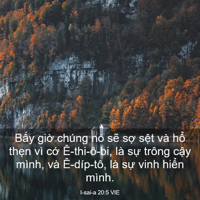 Picture 03 - I-sai-a 20:5 VIE - Bấy giờ chúng nó sẽ sợ sệt và hổ - Bible Verse Picture