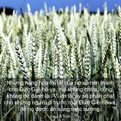 Picture 03 - I-sai-a 23:18 VIE - Nhưng hàng hóa lời lãi của nó sẽ nên - Bible Verse Picture