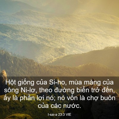 Picture 03 - I-sai-a 23:3 VIE - Hột giống của Si-ho, mùa màng của sông - Bible Verse Picture