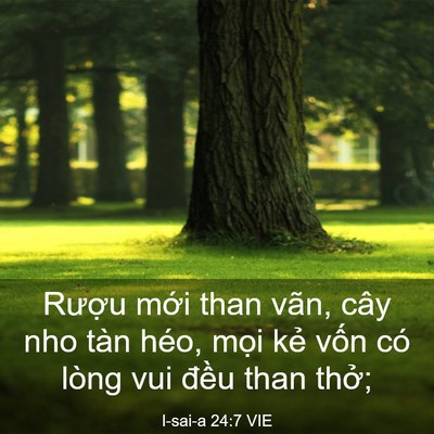 Picture 03 - I-sai-a 24:7 VIE - Rượu mới than vãn, cây nho tàn héo, - Bible Verse Picture