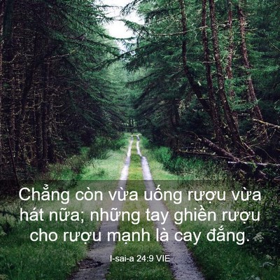 Picture 03 - I-sai-a 24:9 VIE - Chẳng còn vừa uống rượu vừa hát - Bible Verse Picture
