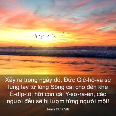 Picture 03 - I-sai-a 27:12 VIE - Xảy ra trong ngày đó, Đức Giê-hô-va - Bible Verse Picture