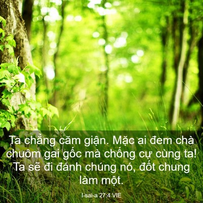 Picture 03 - I-sai-a 27:4 VIE - Ta chẳng căm giận. Mặc ai đem chà chuôm - Bible Verse Picture