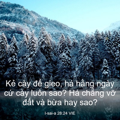 Picture 03 - I-sai-a 28:24 VIE - Kẻ cày để gieo, há hằng ngày cứ cày - Bible Verse Picture