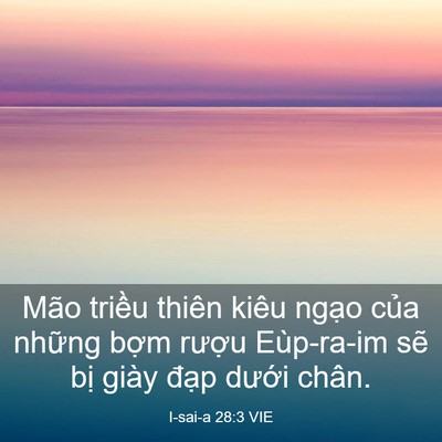 Picture 03 - I-sai-a 28:3 VIE - Mão triều thiên kiêu ngạo của những - Bible Verse Picture