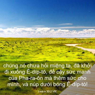 Picture 03 - I-sai-a 30:2 VIE - chúng nó chưa hỏi miệng ta, đã khởi - Bible Verse Picture