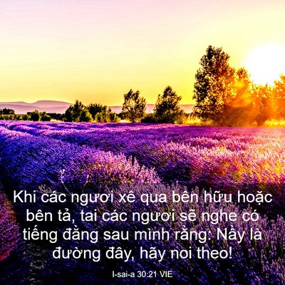 Picture 03 - I-sai-a 30:21 VIE - Khi các ngươi xê qua bên hữu hoặc bên - Bible Verse Picture